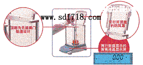 �F�(y��ng)���M(j��n)����ƽ,2100g,0.1g