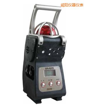 咸陽(yáng)復(fù)合式氣體檢測(cè)儀