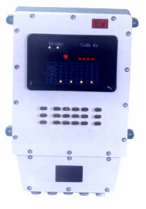 中衛(wèi)壁掛式防爆型氣體檢測(cè)報(bào)警控制器